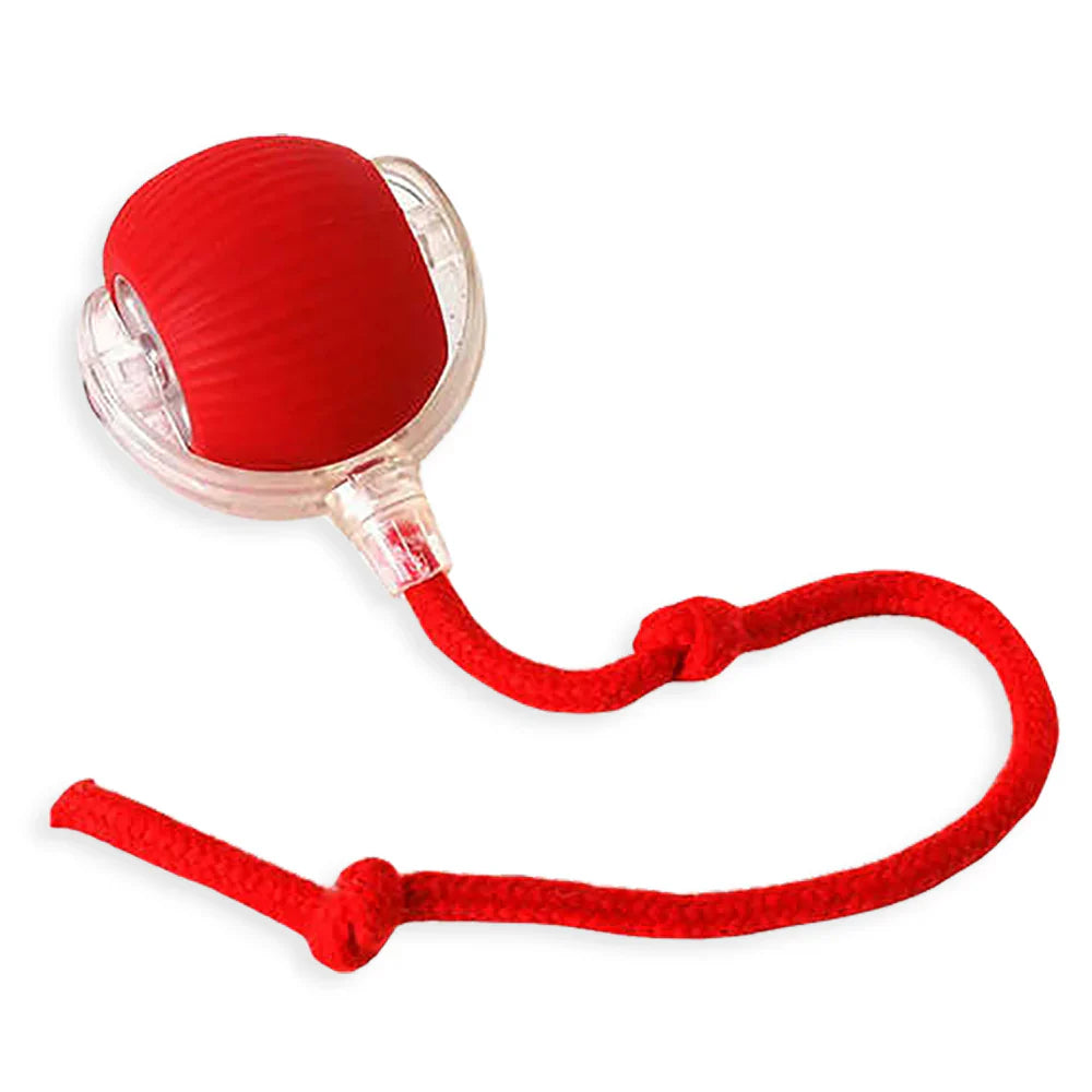 Interactive Toy Ball