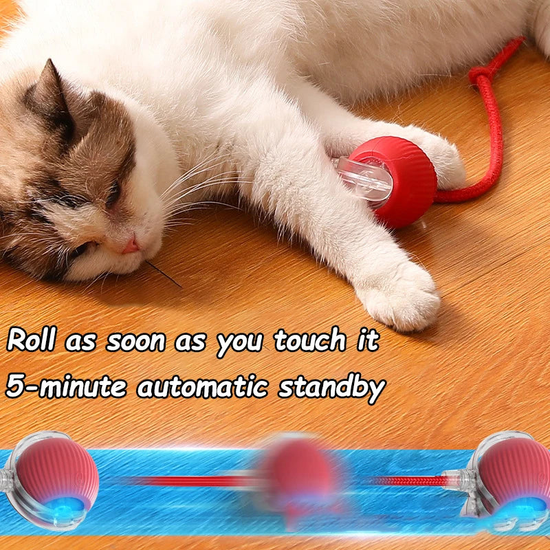 Interactive Toy Ball