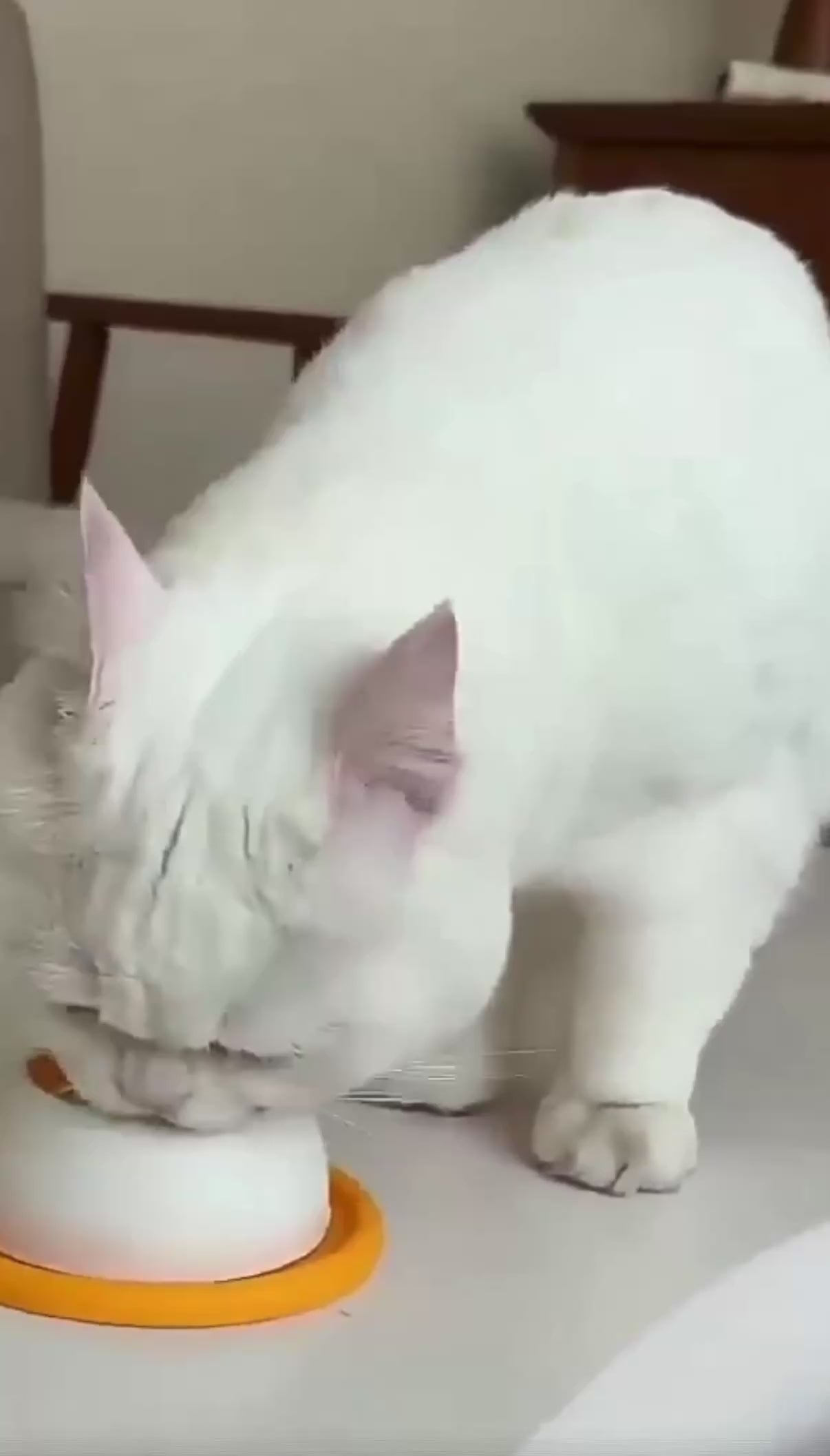 CatEnrich™ Lick Toy